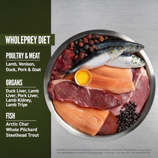 ORIJEN Tundra – hrană uscată fără cereale pentru pisici active, cu rață și pește, 5,4 kg